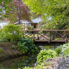 Geraldine Summer Fete -3 resized