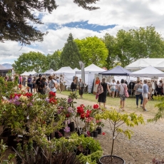 Geraldine Summer Fete -54 resize website