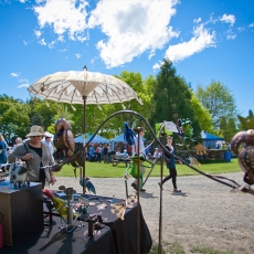 geraldine-summer-fete-gallery-7